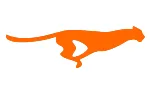 movvi